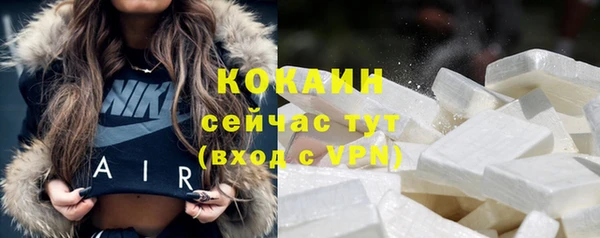 гидра Белокуриха