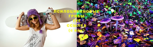 дмт Беломорск