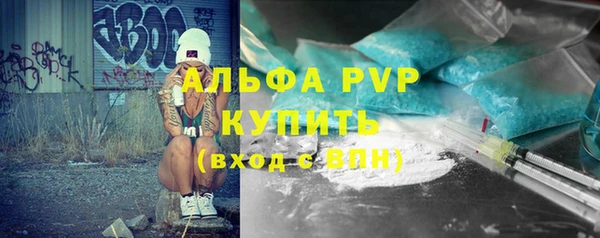 гидра Белокуриха