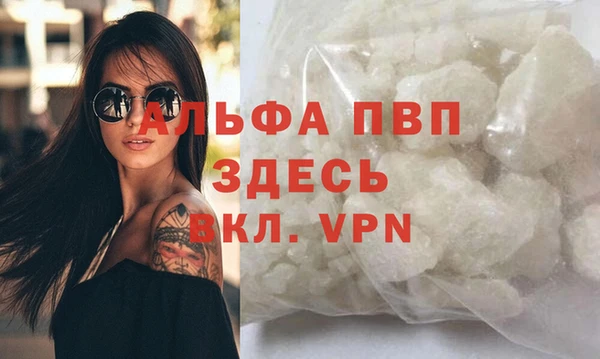 гидра Белокуриха